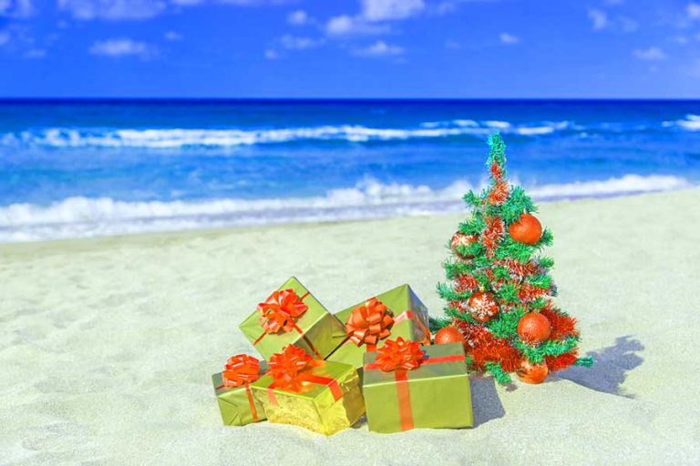 12 Things To Do In Goa During Christmas Holidays Goa Trips India